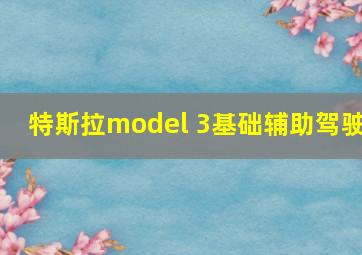 特斯拉model 3基础辅助驾驶